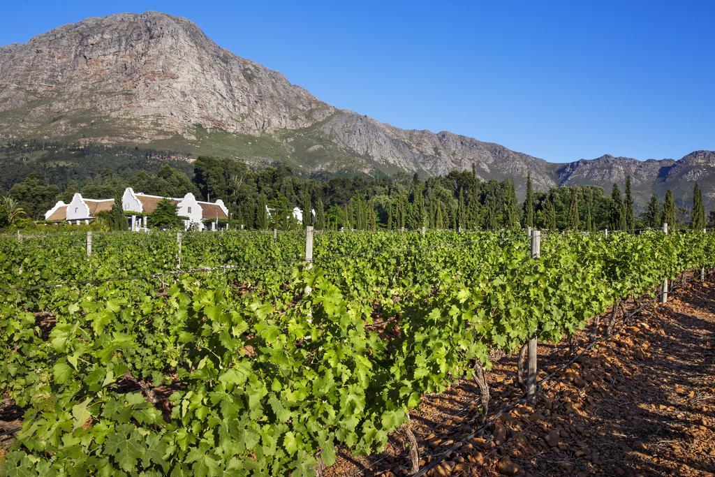 Hotel La Providence Franschhoek Exteriér fotografie